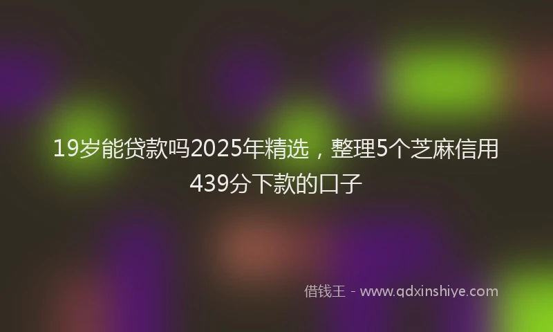 19岁能贷款吗2025年精选，整理5个芝麻信用439分下款的口子