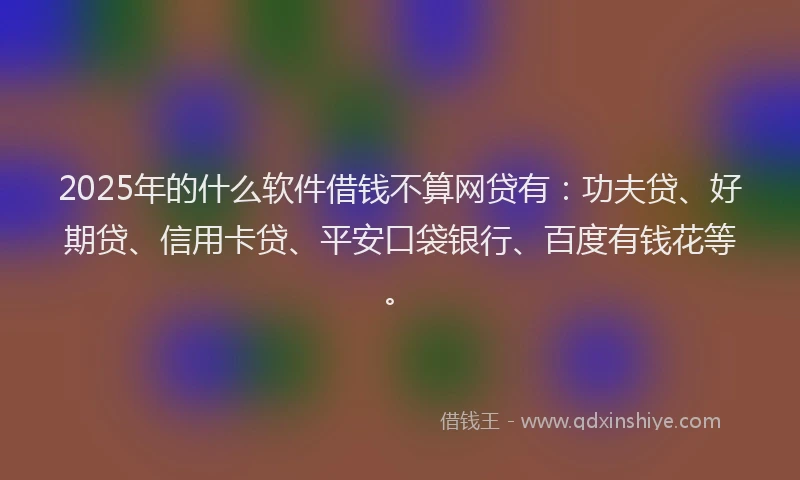 2025年的什么软件借钱不算网贷有：功夫贷、好期贷、信用卡贷、平安口袋银行、百度有钱花等。