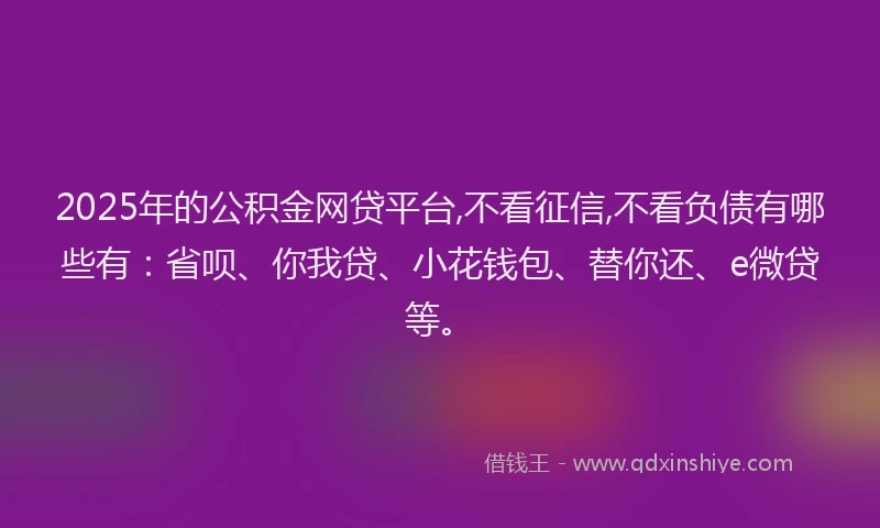 2025年的公积金网贷平台,不看征信,不看负债有哪些有：省呗、你我贷、小花钱包、替你还、e微贷等。