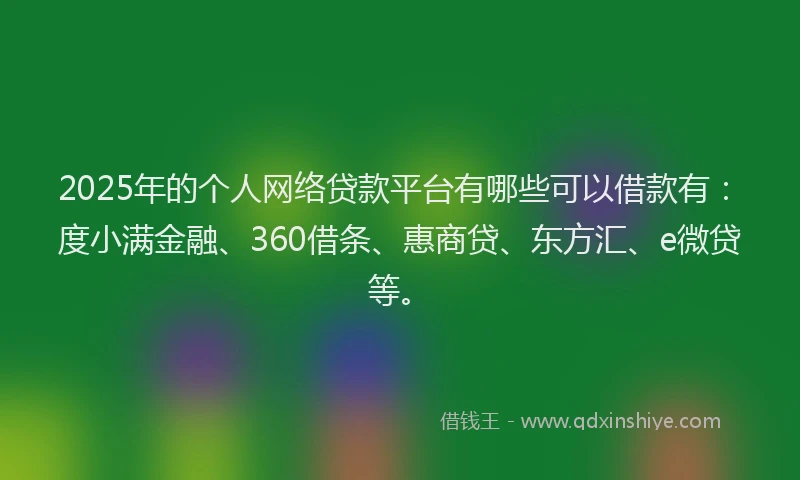 2025年的个人网络贷款平台有哪些可以借款有：度小满金融、360借条、惠商贷、东方汇、e微贷等。