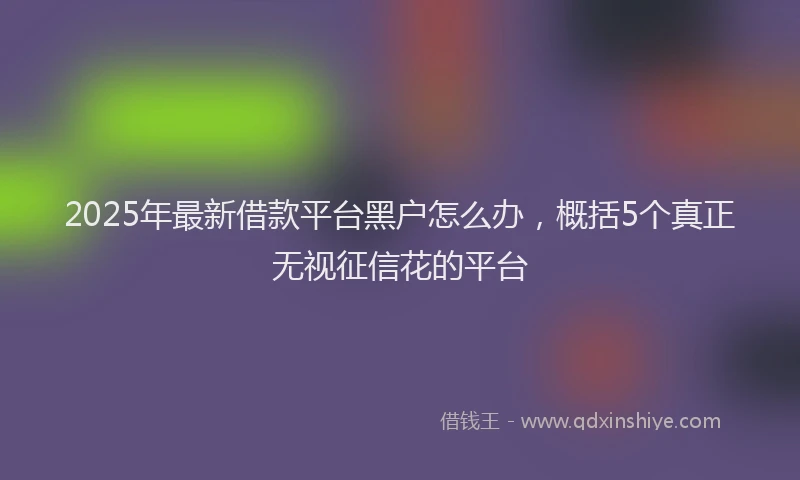 2025年最新借款平台黑户怎么办，概括5个真正无视征信花的平台