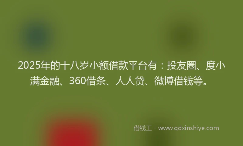 2025年的十八岁小额借款平台有：投友圈、度小满金融、360借条、人人贷、微博借钱等。