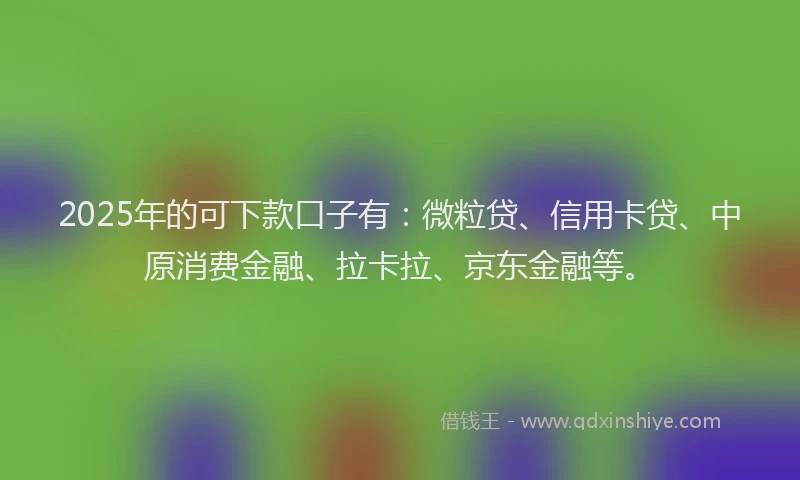 2025年的可下款口子有：微粒贷、信用卡贷、中原消费金融、拉卡拉、京东金融等。