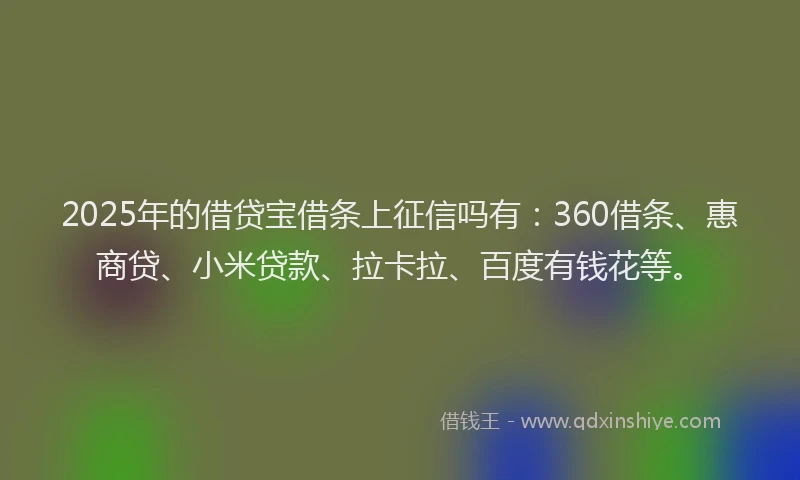 2025年的借贷宝借条上征信吗有：360借条、惠商贷、小米贷款、拉卡拉、百度有钱花等。