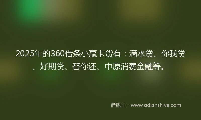2025年的360借条小赢卡货有：滴水贷、你我贷、好期贷、替你还、中原消费金融等。