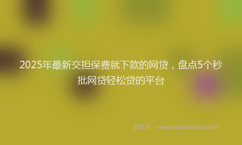 2025年最新交担保费就下款的网贷，盘点5个秒批网贷轻松贷的平台
