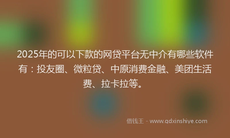 2025年的可以下款的网贷平台无中介有哪些软件有：投友圈、微粒贷、中原消费金融、美团生活费、拉卡拉等。