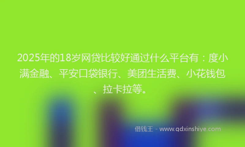 2025年的18岁网贷比较好通过什么平台有：度小满金融、平安口袋银行、美团生活费、小花钱包、拉卡拉等。
