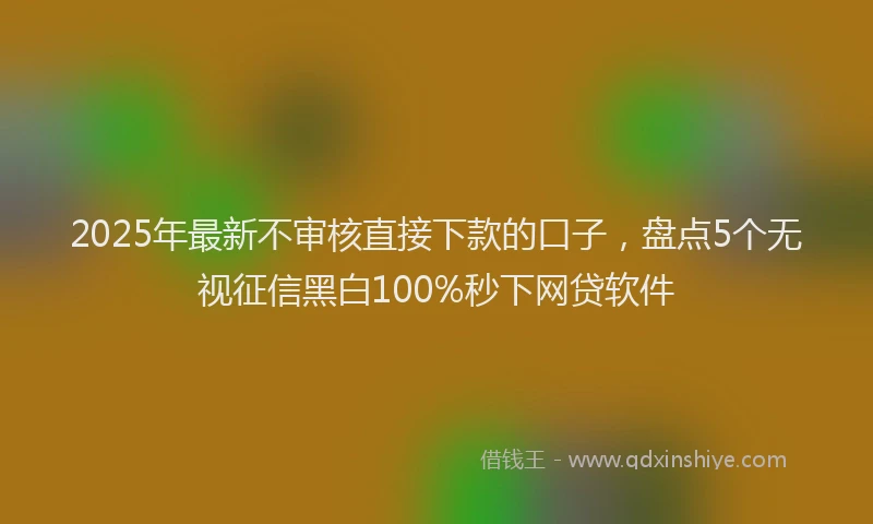 2025年最新不审核直接下款的口子，盘点5个无视征信黑白100%秒下网贷软件