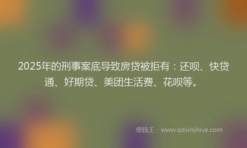 2025年的刑事案底导致房贷被拒有：还呗、快贷通、好期贷、美团生活费、花呗等。