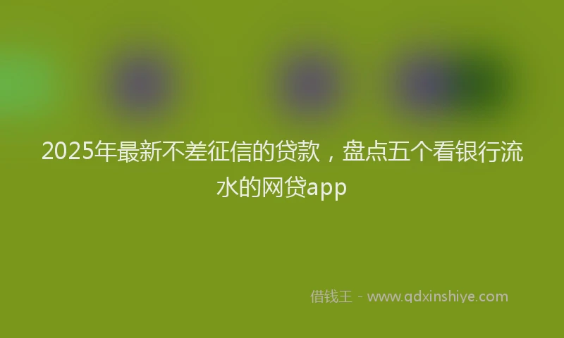 2025年最新不差征信的贷款，盘点五个看银行流水的网贷app