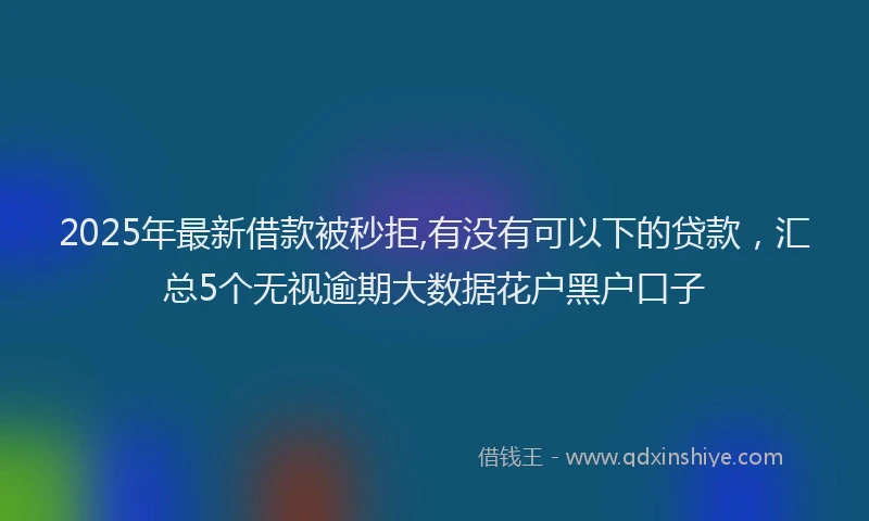 2025年最新借款被秒拒,有没有可以下的贷款，汇总5个无视逾期大数据花户黑户口子