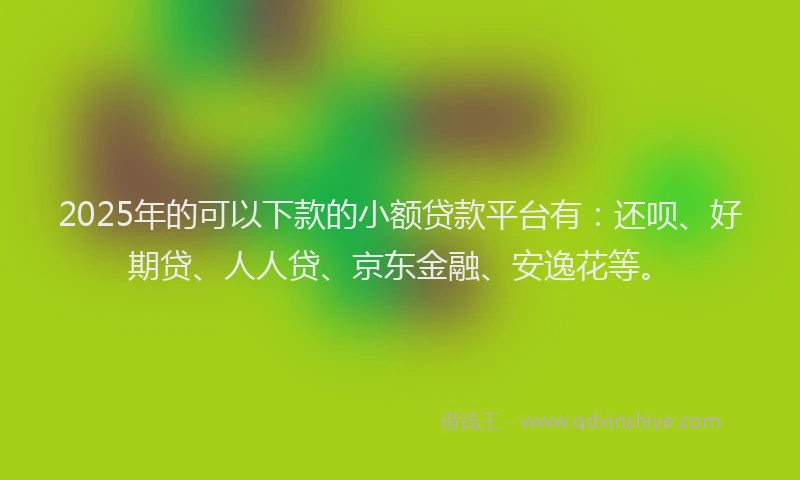 2025年的可以下款的小额贷款平台有：还呗、好期贷、人人贷、京东金融、安逸花等。