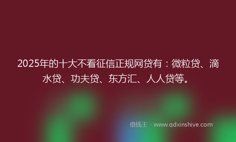 2025年的十大不看征信正规网贷有：微粒贷、滴水贷、功夫贷、东方汇、人人贷等。