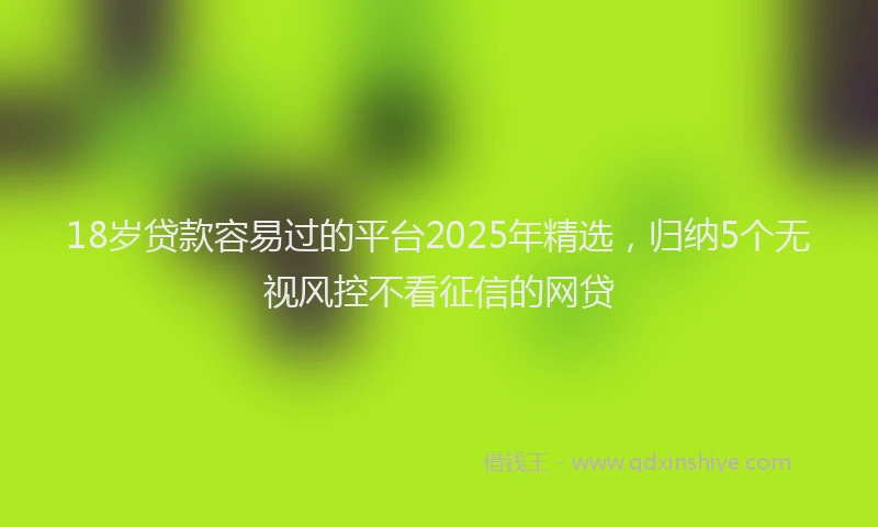 18岁贷款容易过的平台2025年精选，归纳5个无视风控不看征信的网贷