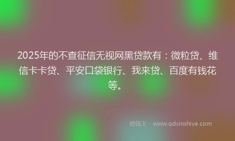 2025年的不查征信无视网黑贷款有：微粒贷、维信卡卡贷、平安口袋银行、我来贷、百度有钱花等。
