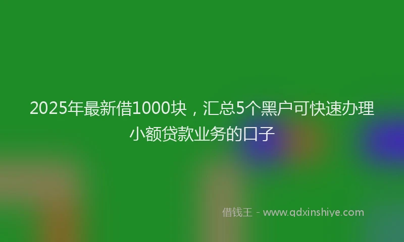 2025年最新借1000块，汇总5个黑户可快速办理小额贷款业务的口子
