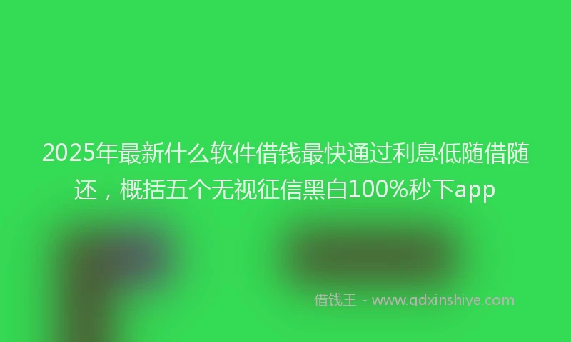 2025年最新什么软件借钱最快通过利息低随借随还，概括五个无视征信黑白100%秒下app