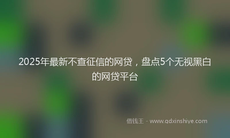 2025年最新不查征信的网贷，盘点5个无视黑白的网贷平台