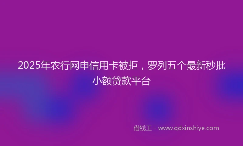 2025年农行网申信用卡被拒，罗列五个最新秒批小额贷款平台