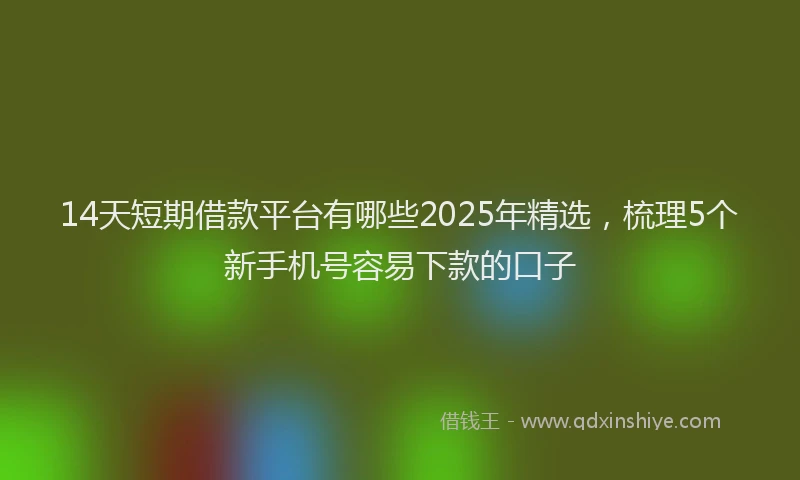 14天短期借款平台有哪些2025年精选，梳理5个新手机号容易下款的口子