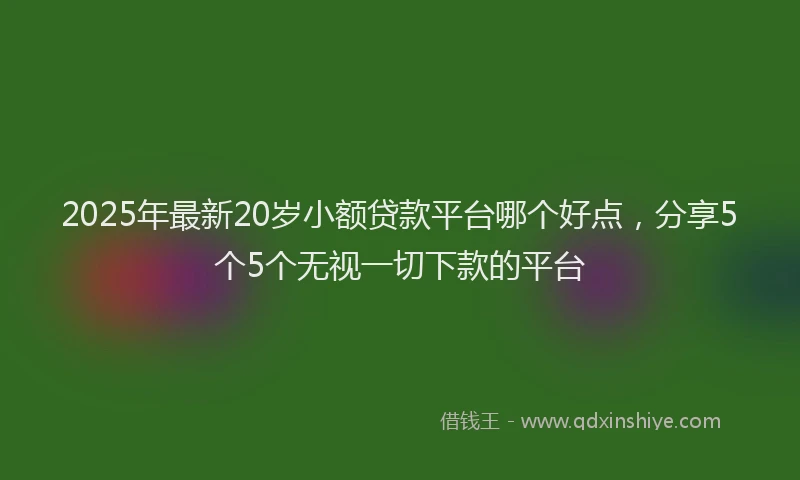 2025年最新20岁小额贷款平台哪个好点，分享5个5个无视一切下款的平台