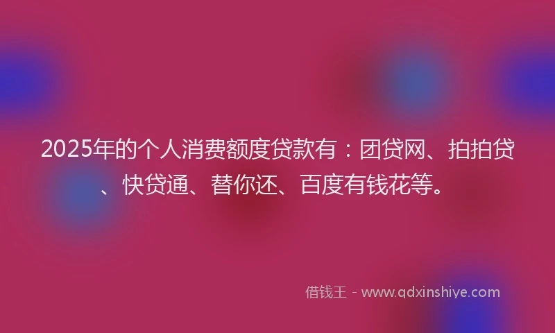 2025年的个人消费额度贷款有：团贷网、拍拍贷、快贷通、替你还、百度有钱花等。