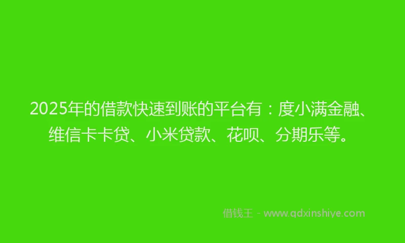 2025年的借款快速到账的平台有：度小满金融、维信卡卡贷、小米贷款、花呗、分期乐等。