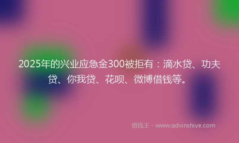 2025年的兴业应急金300被拒有：滴水贷、功夫贷、你我贷、花呗、微博借钱等。