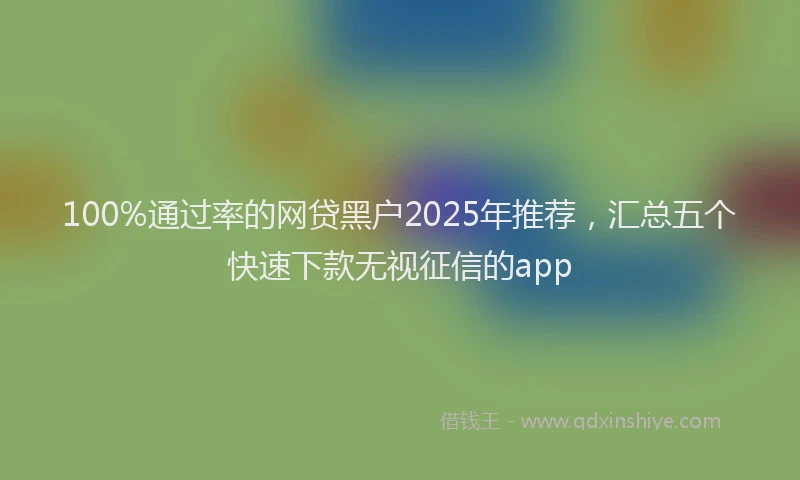 100%通过率的网贷黑户2025年推荐，汇总五个快速下款无视征信的app