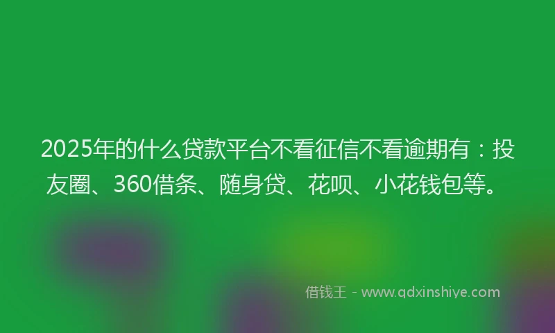 2025年的什么贷款平台不看征信不看逾期有：投友圈、360借条、随身贷、花呗、小花钱包等。