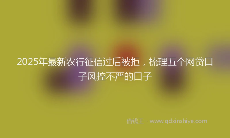 2025年最新农行征信过后被拒，梳理五个网贷口子风控不严的口子