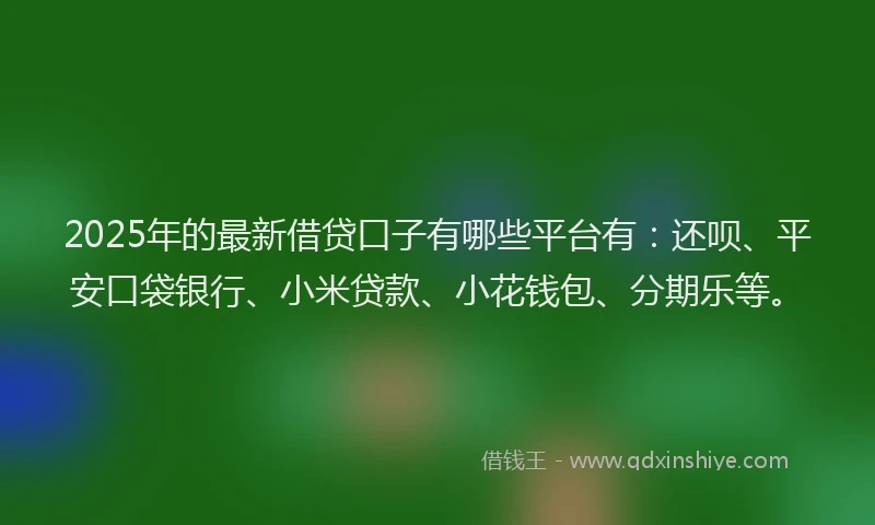 2025年的最新借贷口子有哪些平台有：还呗、平安口袋银行、小米贷款、小花钱包、分期乐等。