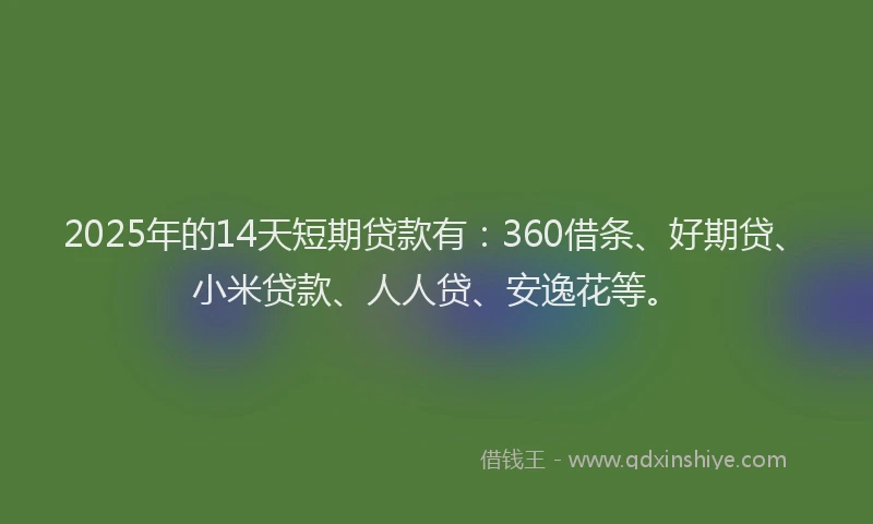 2025年的14天短期贷款有：360借条、好期贷、小米贷款、人人贷、安逸花等。