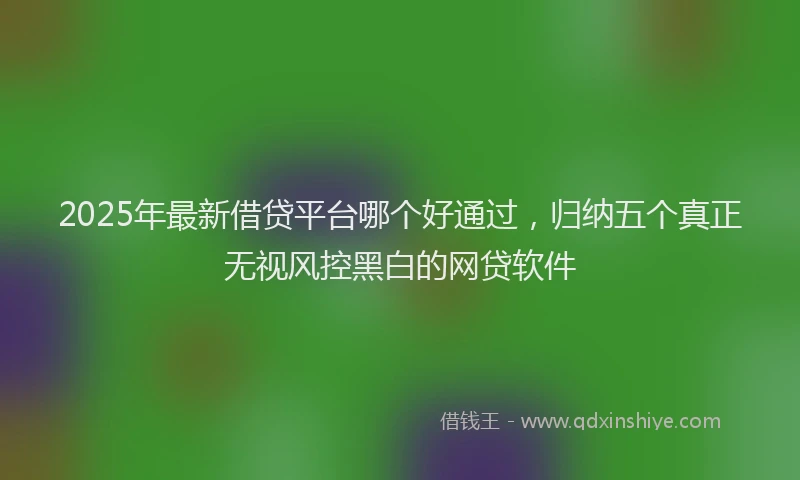 2025年最新借贷平台哪个好通过，归纳五个真正无视风控黑白的网贷软件