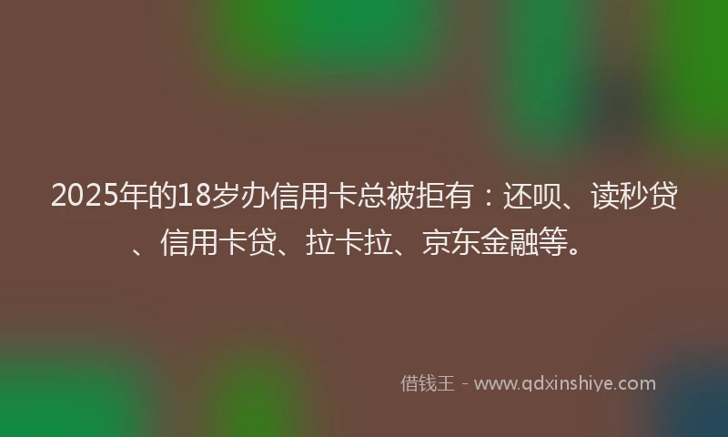 2025年的18岁办信用卡总被拒有：还呗、读秒贷、信用卡贷、拉卡拉、京东金融等。