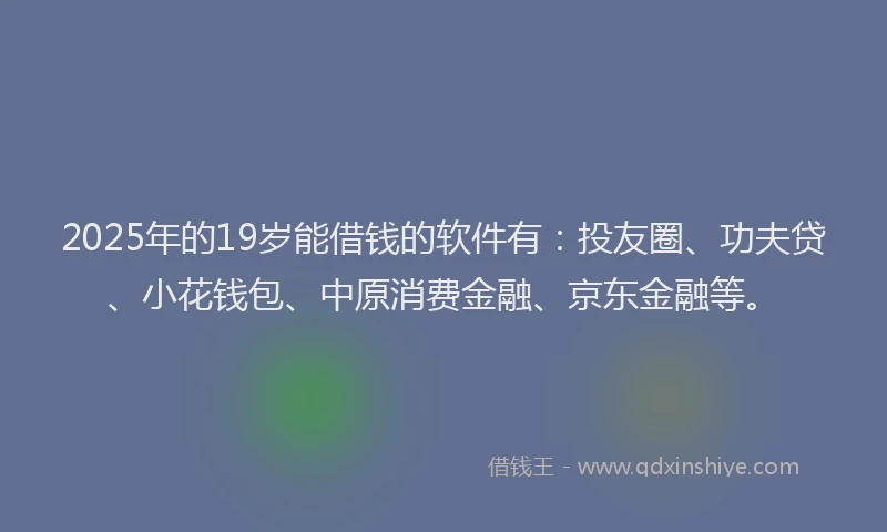 2025年的19岁能借钱的软件有：投友圈、功夫贷、小花钱包、中原消费金融、京东金融等。