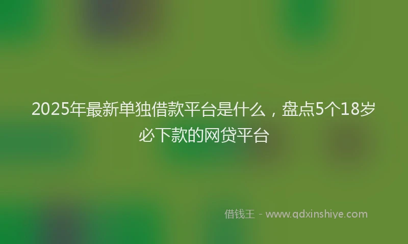 2025年最新单独借款平台是什么，盘点5个18岁必下款的网贷平台