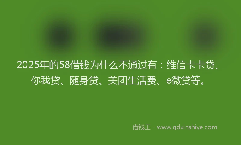 2025年的58借钱为什么不通过有：维信卡卡贷、你我贷、随身贷、美团生活费、e微贷等。