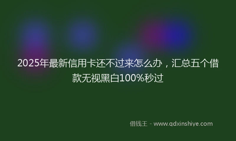 2025年最新信用卡还不过来怎么办，汇总五个借款无视黑白100%秒过