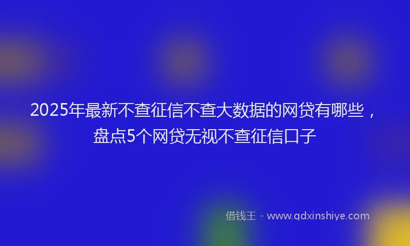 2025年最新不查征信不查大数据的网贷有哪些，盘点5个网贷无视不查征信口子