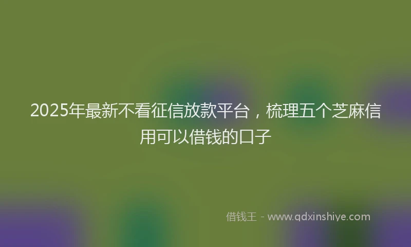 2025年最新不看征信放款平台，梳理五个芝麻信用可以借钱的口子