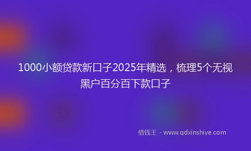 1000小额贷款新口子2025年精选，梳理5个无视黑户百分百下款口子
