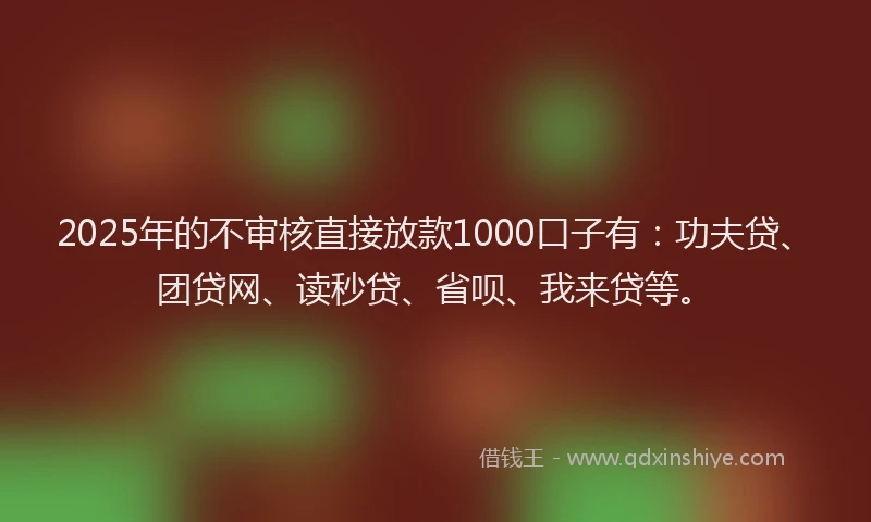 2025年的不审核直接放款1000口子有：功夫贷、团贷网、读秒贷、省呗、我来贷等。