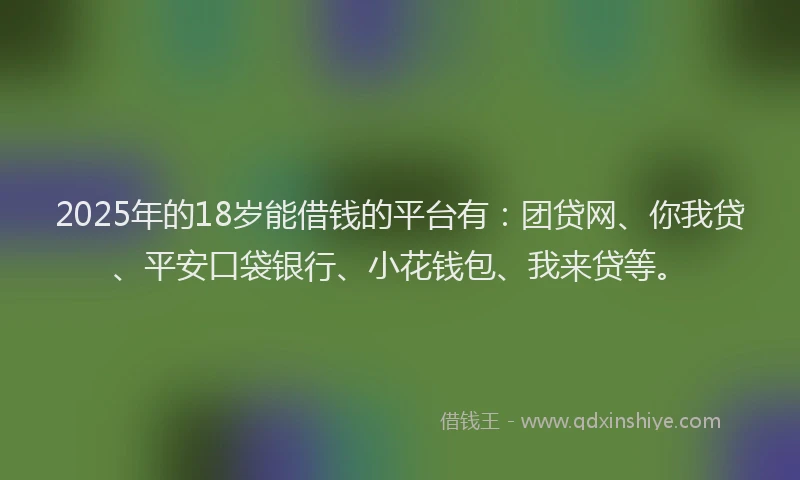 2025年的18岁能借钱的平台有：团贷网、你我贷、平安口袋银行、小花钱包、我来贷等。