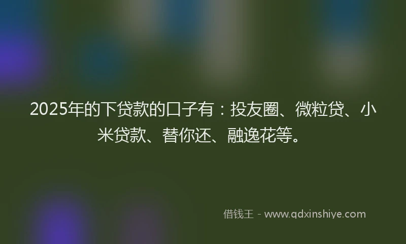 2025年的下贷款的口子有：投友圈、微粒贷、小米贷款、替你还、融逸花等。