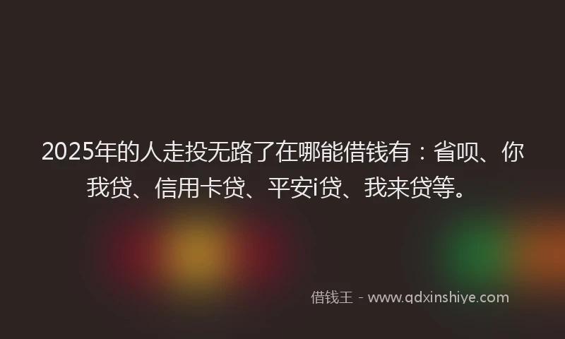 2025年的人走投无路了在哪能借钱有：省呗、你我贷、信用卡贷、平安i贷、我来贷等。