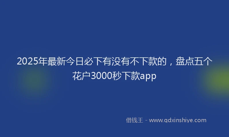 2025年最新今日必下有没有不下款的，盘点五个花户3000秒下款app