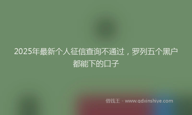 2025年最新个人征信查询不通过，罗列五个黑户都能下的口子