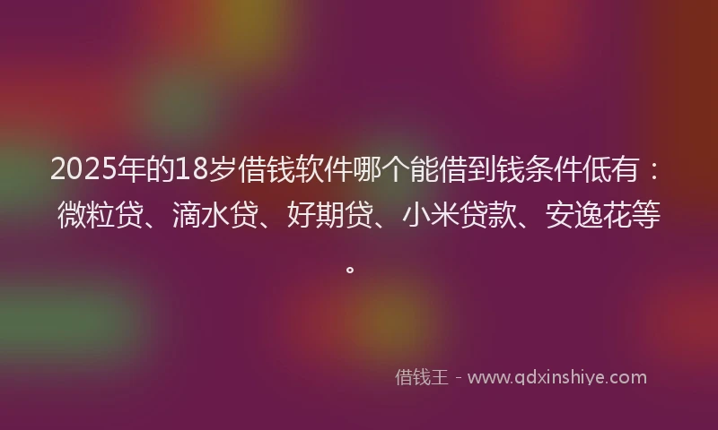2025年的18岁借钱软件哪个能借到钱条件低有：微粒贷、滴水贷、好期贷、小米贷款、安逸花等。